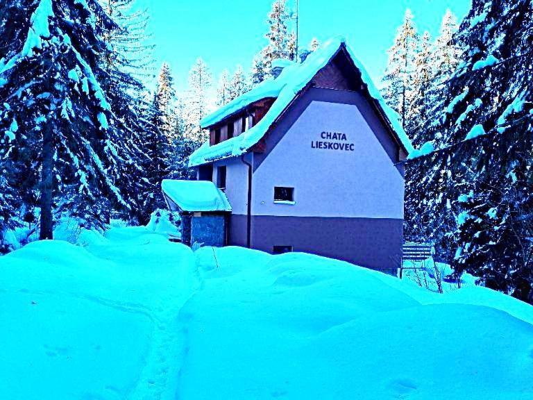 Chata Lieskovec - Chata V Lese Blizko Zubacky Tatranska Strba Exterior foto